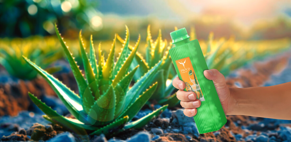 آلوئه ورا 250 سی سی Proud Aloe Vera Drink